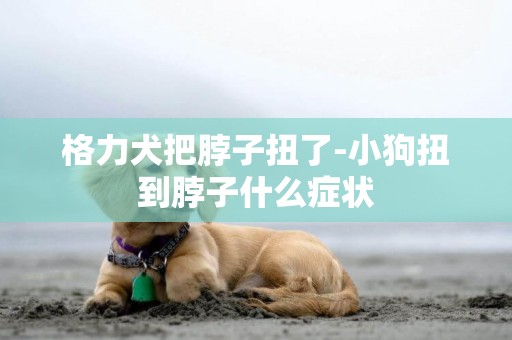 格力犬把脖子扭了-小狗扭到脖子什么癥狀
