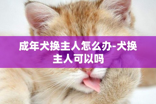 成年犬換主人怎么辦-犬換主人可以嗎