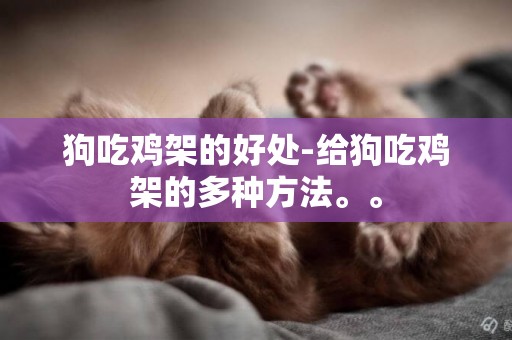 狗吃雞架的好處-給狗吃雞架的多種方法。。