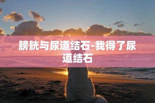 膀胱與尿道結石-我得了尿道結石