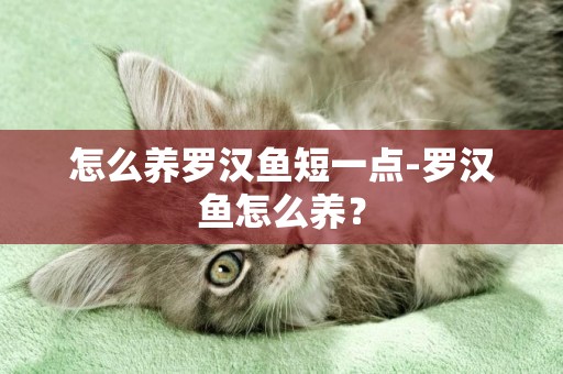 怎么養羅漢魚短一點-羅漢魚怎么養？