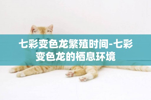 七彩變色龍繁殖時間-七彩變色龍的棲息環境