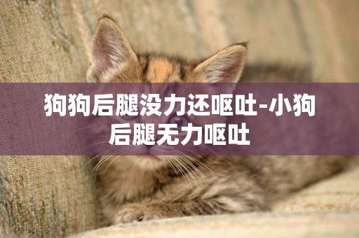 狗狗后腿沒力還嘔吐-小狗后腿無力嘔吐
