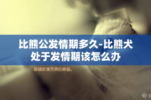 比熊公發情期多久-比熊犬處于發情期該怎么辦