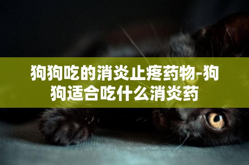 狗狗吃的消炎止疼藥物-狗狗適合吃什么消炎藥
