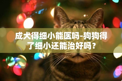 成犬得細小能醫嗎-狗狗得了細小還能治好嗎？