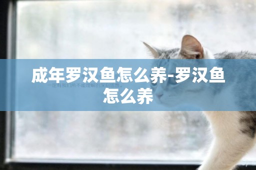 成年羅漢魚怎么養-羅漢魚怎么養