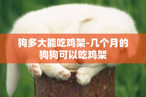 狗多大能吃雞架-幾個月的狗狗可以吃雞架