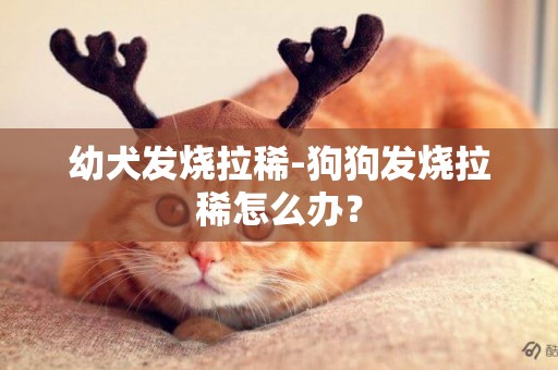 幼犬發燒拉稀-狗狗發燒拉稀怎么辦？
