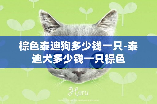 棕色泰迪狗多少錢一只-泰迪犬多少錢一只棕色