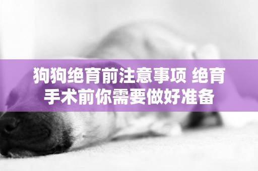 狗狗絕育前注意事項 絕育手術前你需要做好準備