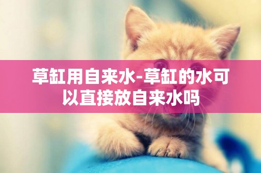 草缸用自來水-草缸的水可以直接放自來水嗎