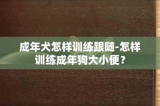 成年犬怎樣訓練跟隨-怎樣訓練成年狗大小便？