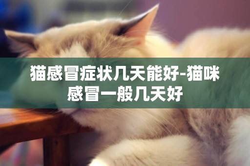 貓感冒癥狀幾天能好-貓咪感冒一般幾天好