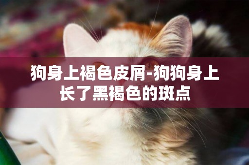 狗身上褐色皮屑-狗狗身上長了黑褐色的斑點