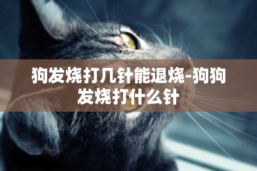 狗發燒打幾針能退燒-狗狗發燒打什么針