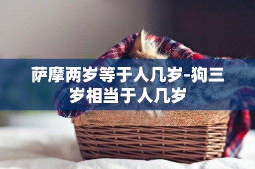 薩摩兩歲等于人幾歲-狗三歲相當于人幾歲