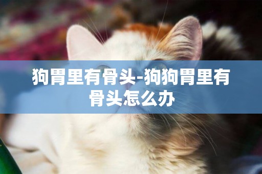 狗胃里有骨頭-狗狗胃里有骨頭怎么辦