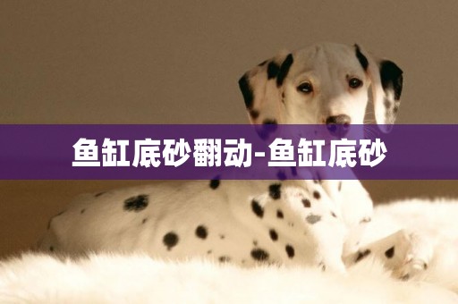 魚缸底砂翻動-魚缸底砂