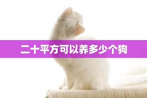 二十平方可以養多少個狗