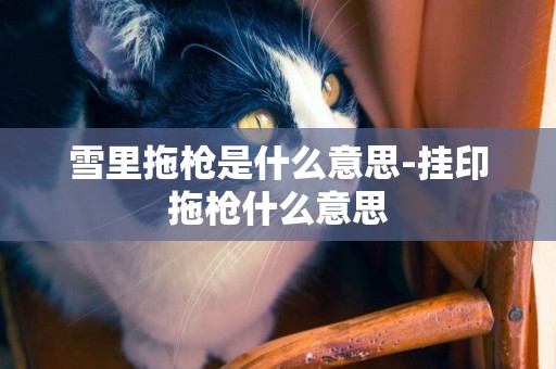 雪里拖槍是什么意思-掛印拖槍什么意思