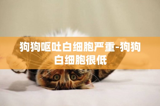 狗狗嘔吐白細胞嚴重-狗狗白細胞很低