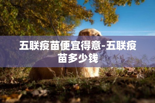 五聯疫苗便宜得意-五聯疫苗多少錢