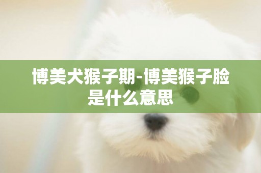 博美犬猴子期-博美猴子臉是什么意思
