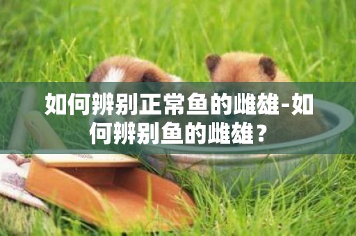 如何辨別正常魚的雌雄-如何辨別魚的雌雄？