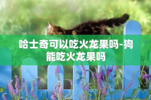 哈士奇可以吃火龍果嗎-狗能吃火龍果嗎