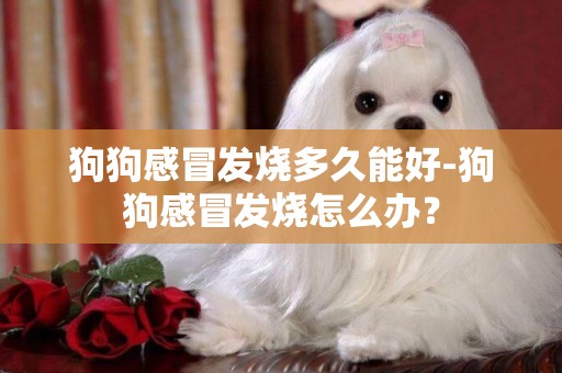 狗狗感冒發燒多久能好-狗狗感冒發燒怎么辦？