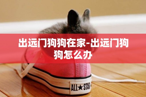 出遠門狗狗在家-出遠門狗狗怎么辦
