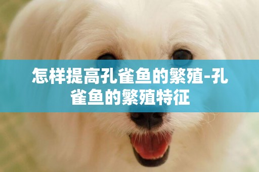 怎樣提高孔雀魚的繁殖-孔雀魚的繁殖特征