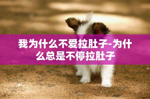我為什么不愛拉肚子-為什么總是不停拉肚子
