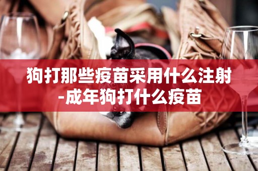 狗打那些疫苗采用什么注射-成年狗打什么疫苗