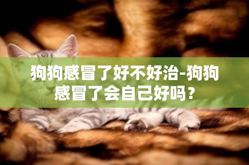 狗狗感冒了好不好治-狗狗感冒了會自己好嗎？