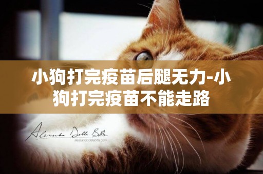 小狗打完疫苗后腿無力-小狗打完疫苗不能走路