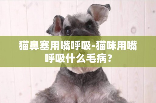 貓鼻塞用嘴呼吸-貓咪用嘴呼吸什么毛病？