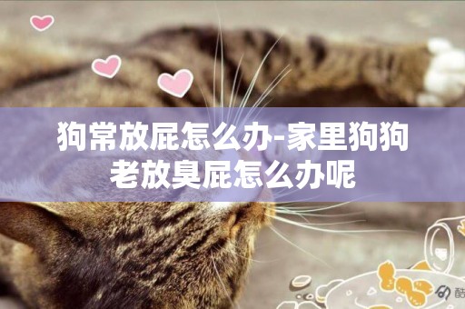 狗常放屁怎么辦-家里狗狗老放臭屁怎么辦呢