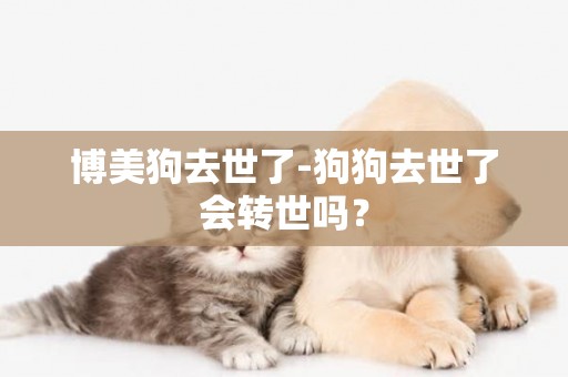 博美狗去世了-狗狗去世了會轉世嗎？
