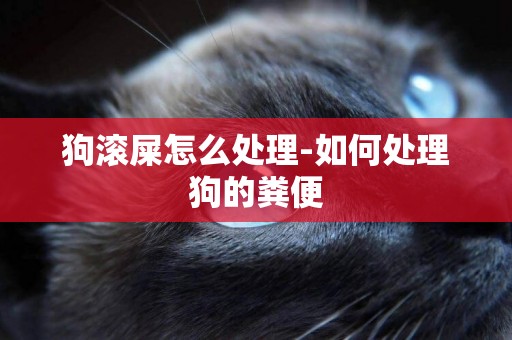 狗滾屎怎么處理-如何處理狗的糞便