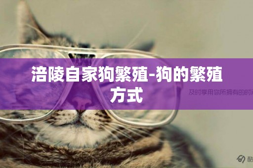 涪陵自家狗繁殖-狗的繁殖方式