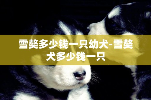 雪獒多少錢一只幼犬-雪獒犬多少錢一只