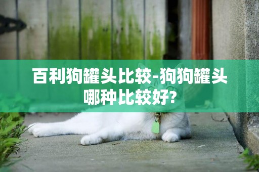 百利狗罐頭比較-狗狗罐頭哪種比較好?