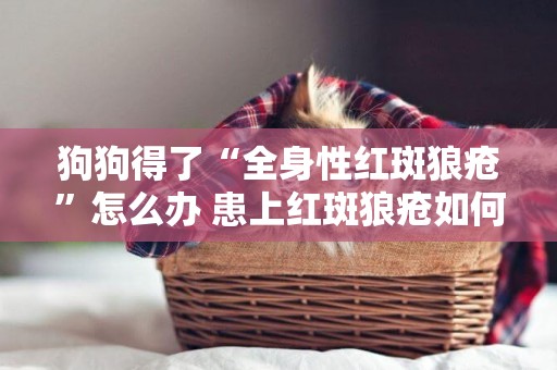 狗狗得了“全身性紅斑狼瘡”怎么辦 患上紅斑狼瘡如何解決 狗狗得了“全身性紅斑狼瘡”怎么辦 患上紅斑狼瘡如何解決