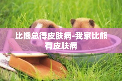 比熊總得皮膚病-我家比熊有皮膚病