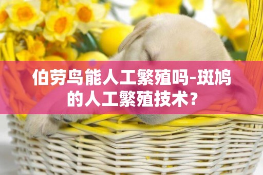 伯勞鳥能人工繁殖嗎-斑鳩的人工繁殖技術？
