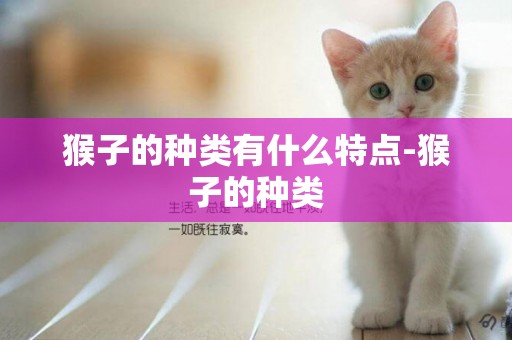 猴子的種類有什么特點-猴子的種類