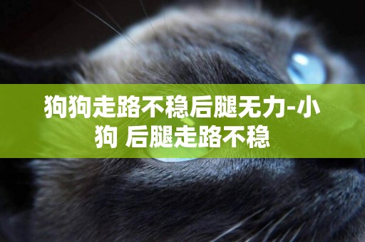 狗狗走路不穩后腿無力-小狗 后腿走路不穩