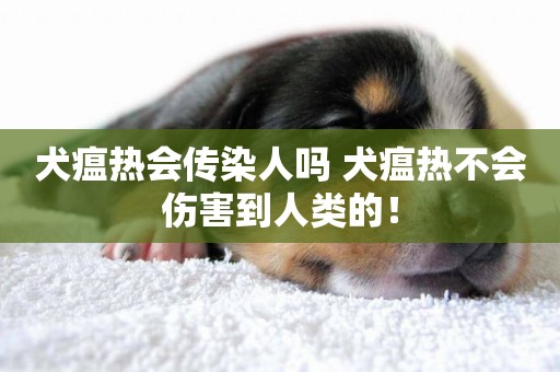 犬瘟熱會傳染人嗎 犬瘟熱不會傷害到人類的！